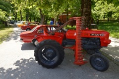 DSC_1047_resize