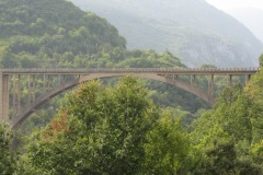IMG_7864